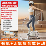 OES飞力仕棒椭圆机家用迷你踏步机静音椭圆仪太空漫步机登山健身器材 白-飞力仕棒+8档阻力调节+双向测控飞轮+免费课程