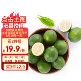 京鲜生 海南大青柠/青柠檬 8粒 单果约70-100g  生鲜水果