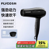 飞科（FLYCO）电吹风机家用便携冷热风护发速干吹风筒2000w大功率FH6231