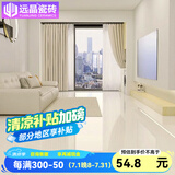 远晶800x800天鹅绒瓷砖58度超白胚客厅地砖卫生间厨房墙砖奶油风广东 58°超白胚-亮光-奶白 800x800