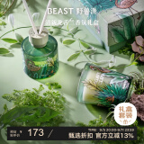 野兽派（THE BEAST）Jungle清新龙舌兰香薰蜡烛礼盒香薰室内生日礼物教师节礼物