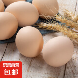 可生食鸡蛋含DHA无抗Omega-3 新鲜鸡蛋 早餐买菜无菌蛋京东包邮 900g DHA鸡蛋20枚