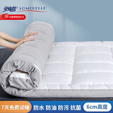 安睡宝（SOMERELLE） 床褥 杜邦特氟龙三防软床褥子宿舍榻榻米床铺垫被子加厚姨妈垫瑜 80*190cm灰边【学生款1】