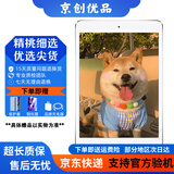 Apple苹果 iPad Air1/Air2/Air3 迷你mini2/4/5 二手平板电脑ipad iPad mini2 16G WiFi版 9成新