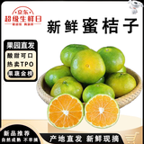 闽域寻鲜云南青皮蜜桔当季青皮橘子酸甜橘子青桔子新鲜应季云南水果蜜桔子 9斤【单果55mm+】净重8.5斤 橘子爱好者