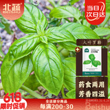 北蔬 罗勒种子苗大圆叶食用香料植物盆栽香草种籽 大叶罗勒种子600粒