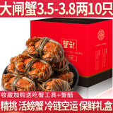 【活蟹】蟹知音大闸蟹鲜活六月黄现货特大螃蟹海鲜水产河蟹类礼盒 【精选】六月黄3.5-3.8两 10只