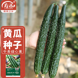 寿禾 旱黄瓜种子强雌籽种各种水果青瓜秋季四季蔬菜寿光种籽 绿心黄大黄瓜种子20g（10gx2包）