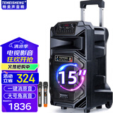 TEMEISHENG 特美声SL12-31广场舞音响带KTV美声话筒大音量移动K歌会议唱歌音响户外音响大功率手提蓝牙音箱 15寸标配+2支无线话筒+大礼包