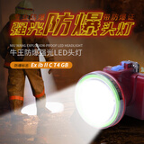 牛王防爆头灯带防爆证书可充电工业仓库加油站消防化工厂专用巡检头灯 F501白光-续航20-30小时
