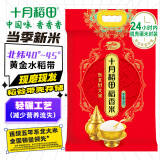十月稻田 当季新米 稻香米 20斤（东北大米 香米 10公斤/二十斤）
