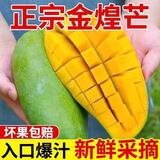 果迎鲜 广西金煌芒 芒果 青皮芒果 新鲜水果 生鲜 青芒果 净果4.5斤