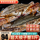 舟山超大梭子蟹新鲜蟹活冻大螃蟹冰鲜飞蟹花盖蟹生鲜 蟹类 3斤5-8只【99】