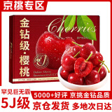 田拾记车厘子樱桃金钻级【JD/顺丰-多地次日达】山东樱桃水果送礼端午节 5斤(净重)  臻选装【送礼款】 【彩箱装】单果22-26mm
