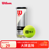 Wilson威尔胜TITANIUM 训练网球罐装 3只装