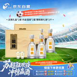 今世缘 国缘淡雅 幽雅醇厚型白酒 42度500mL*2盒装 婚宴喜酒送礼