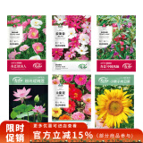 寿禾 花种子苗组合四季可种植格桑花盆栽种植花卉种籽 6种花种子大全