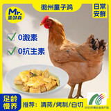 蛋鲜森 徽州童子鸡3只装共3.9斤 生鲜禽类 整鸡净膛 源头直发包邮