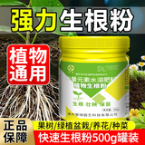 智绿快速生根粉植物通用营养液扦插移栽强力生根剂养花卉肥料 快速生根粉500g【植物通用】