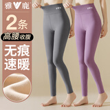 雅鹿2条装秋裤女士保暖裤女薄款秋冬季高腰可外穿无痕修身防寒打底裤