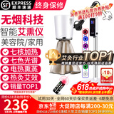 鸿益德 艾灸家用仪器一体机语音无烟熏蒸仪美容院养生理疗艾炙灯烤电仪 白色豪华尊享款-七核加热+七光渗透XJAY07