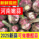 2025年 新鲜大蒜头 现挖新蒜河南大蒜腌制糖醋蒜嫩蒜子 杞县大蒜 1500g 现挖湿蒜【小果】