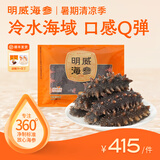 明威海参 鲜食海参辽刺参即食 生鲜冷冻即食海参水产送礼单个装 1斤（10-15头）
