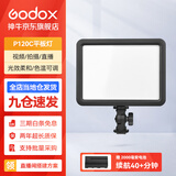 神牛（Godox） 补光灯P120C摄影灯单反摄像机相机摄像灯影视拍照婚庆常亮灯光 P120C平板灯 标配