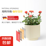新款竖纹陶瓷花盆亚光北欧风简约花盆大号桌面绿植盆送塑料托盘 黄色 大号（16.5*16.5*14）