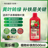 美乐棵园艺植物补铁剂花肥肥料改善叶黄植物营养液500ML
