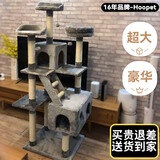 华元宠具（hoopet）猫爬架超大型猫窝猫树一体特大号猫爬柱猫架子猫咪玩具用品猫抓板