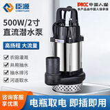 臣源直流潜水泵48-60v高扬程12V24V72V电瓶车抽水泵家用农用抽水机 【48V60V72V】500W2寸+7米线