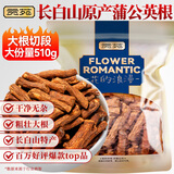 贡苑精选蒲公英根茶510g 足龄老根长白山特花草养生茶袋装级泡水喝的