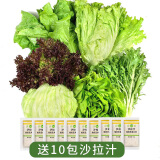 绿食者 沙拉蔬菜组合3.5斤 新鲜苦菊绿叶红叶生菜西餐沙拉健康轻食蔬菜 蔬菜沙拉组合3.5斤【有沙拉酱】