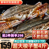 舟山超大梭子蟹新鲜蟹活冻大螃蟹冰鲜飞蟹花盖蟹生鲜 蟹类 4斤5-7只