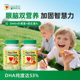 ChildLife童年时光婴幼儿藻油dha0防腐儿童学生补脑dha 60粒/瓶【2瓶】