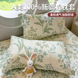 艾薇 A类枕头套枕套一对纯棉家用全棉单人枕套枕芯套 绿野仙踪48*74cm