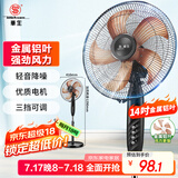 华生（Wahson）电风扇/落地扇/金属铝叶风扇/家用办公电扇/大风量低噪省电立式电风扇交流定频风扇 FS-D1401