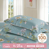 艾薇枕头套枕套一对纯棉家用全棉单人枕套枕芯套 青馨花园 48*74cm