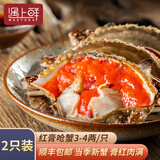 红膏呛蟹整只咸蟹炝蟹即食韩国酱母蟹宁波舟山梭子蟹糊螃腌生腌蟹 尝鲜款【3-4两】到手2只