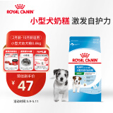 皇家狗粮 幼犬狗粮 幼犬奶糕宠物小型犬MIJ31全价犬粮2-10月800g