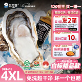 贝司令（BEISILING）【鲜活】乳山生态生蚝牡蛎贝类烧烤源头直发4XL净重4斤 8-11只装