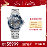 欧米茄（OMEGA）瑞士手表 海马系列300潜水机械表210.30.42.20.06.001 618抢先购