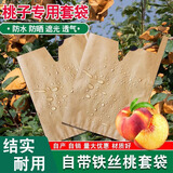 梨子套袋苹果套袋桃子黄桃石榴李子防水防鸟透气枇杷专用套袋 套八两内/单层刀把V口内黑/16*19 100个袋/件