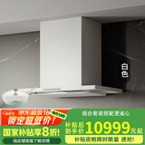 富士帝日本原装进口  油烟分离顶吸欧式吸油烟机 家用白色日系抽油烟机防油涂层易清洁CXW-230-CL260E 白色 W