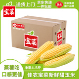 佳农宝菜山东新鲜水果玉米鲜嫩多汁健康轻食玉米4-6根4.5斤装源头直发