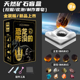 宝藏哆哆恐龙咋没的挖宝玩具无尘肥皂泥盲盒考古挖掘生日儿童节生日礼物 PLUS金装版-陨石矿石+赠送展示框