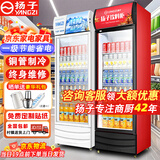 扬子（YANGZI）展示柜冷藏大容量饮料啤酒保鲜柜立式冰柜商用超市玻璃门上下机直风冷 380单门下机丨标准基础款【直冷】 【铜管制冷】【东贝压缩机】