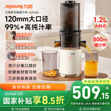 九阳（Joyoung）【国家补贴】原汁机 家用多功能超大口径电动榨汁机全自动冷压炸果汁果蔬机渣汁分离Z12-LZ566