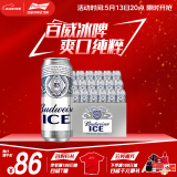 百威冰啤酒500ml*18听整箱装【99%好评】春日出游